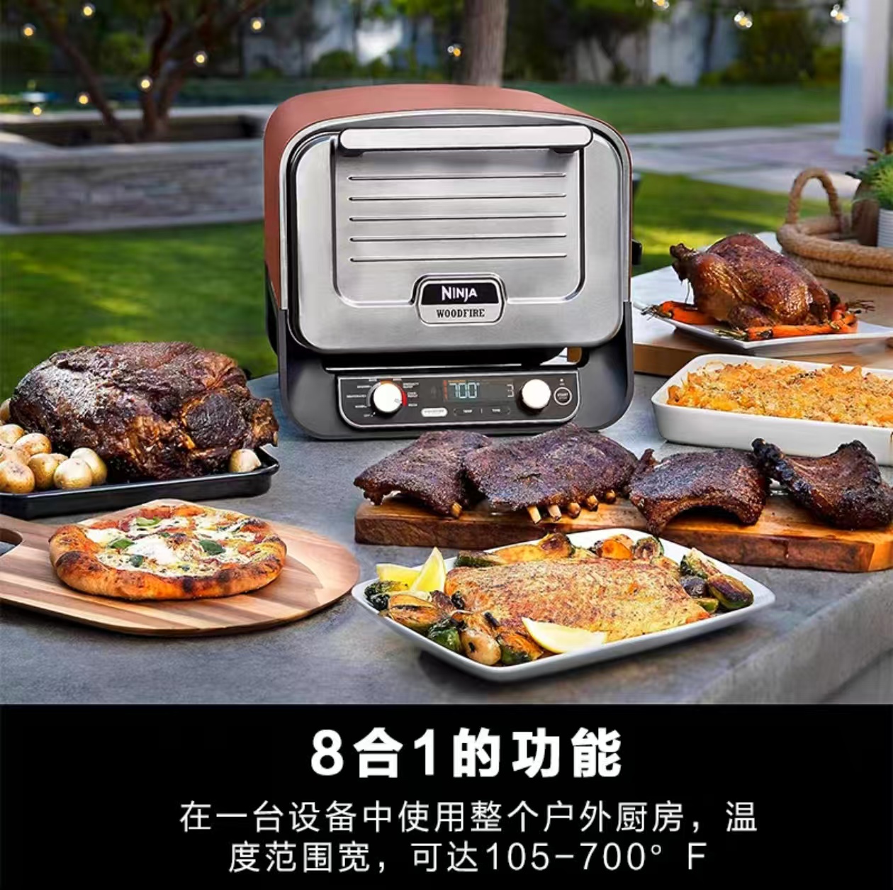 2026 Outdoor Pizza Oven for El - đánh giá và giá Camping Cooking Electric
